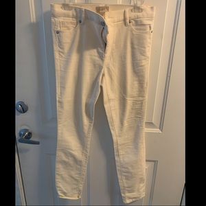 Loft women’s corduroy pants